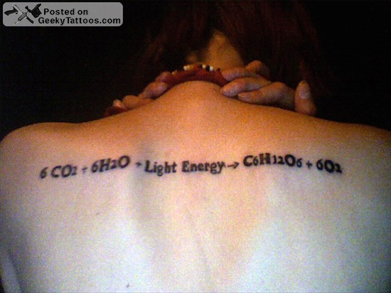 Photosynthesis Tattoo